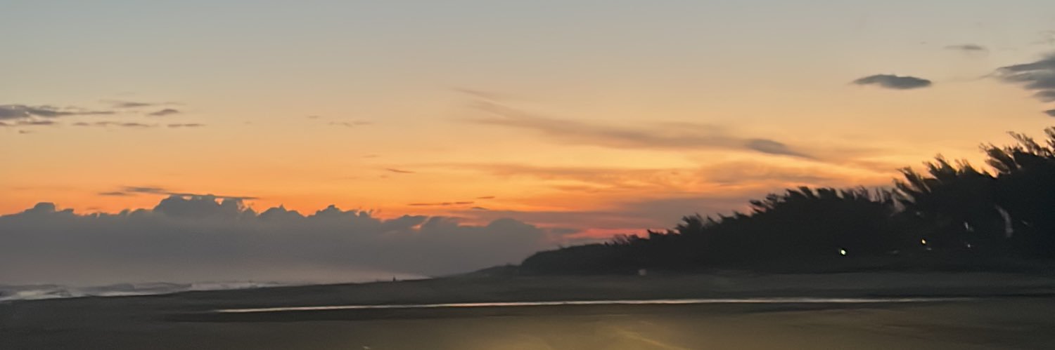 1coisaqualquer's profile banner image
