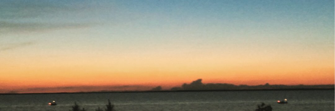 austinanderly's profile banner image