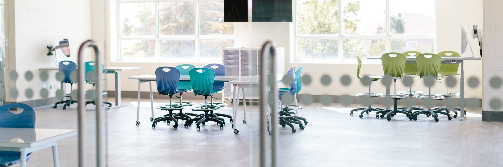 Stephanie Stephens banner