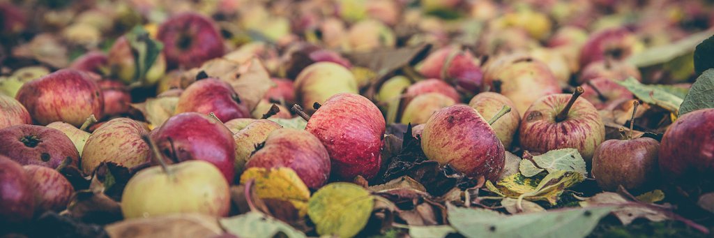 astonmanorcider's profile banner image