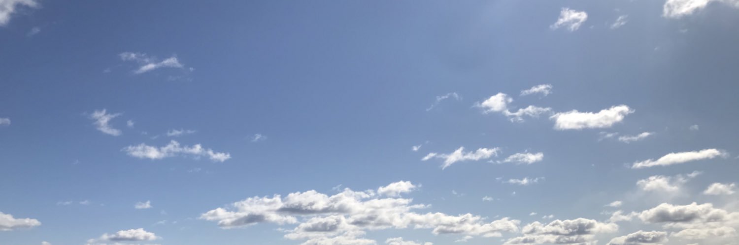 Felicia T.A. Sundström banner