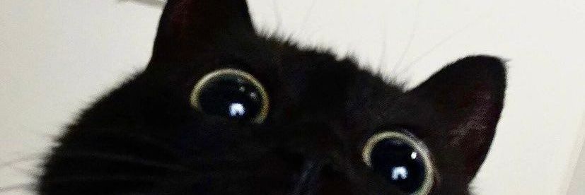 L E E D banner