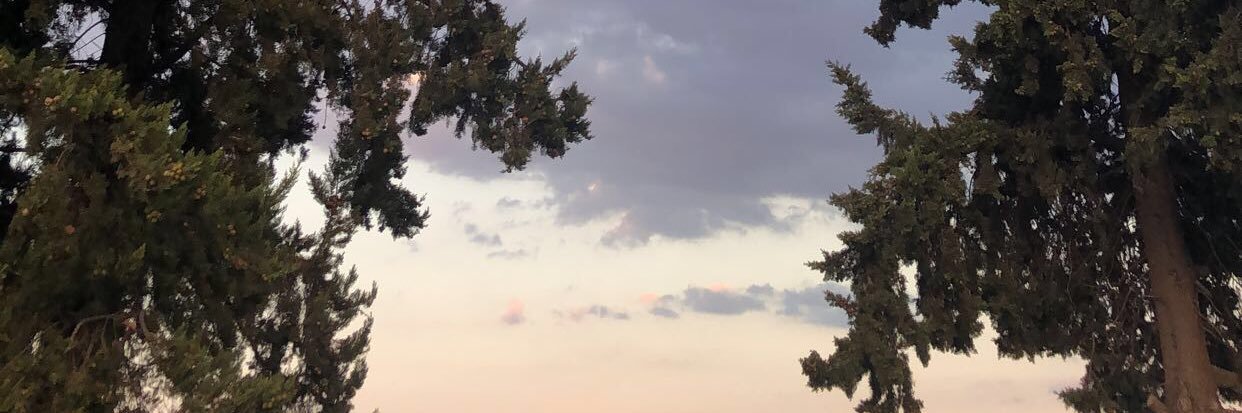 minervabubble's profile banner image
