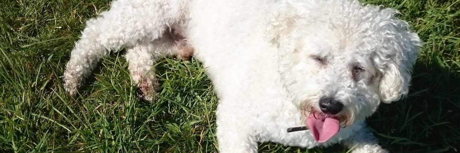 cjohno1's profile banner image