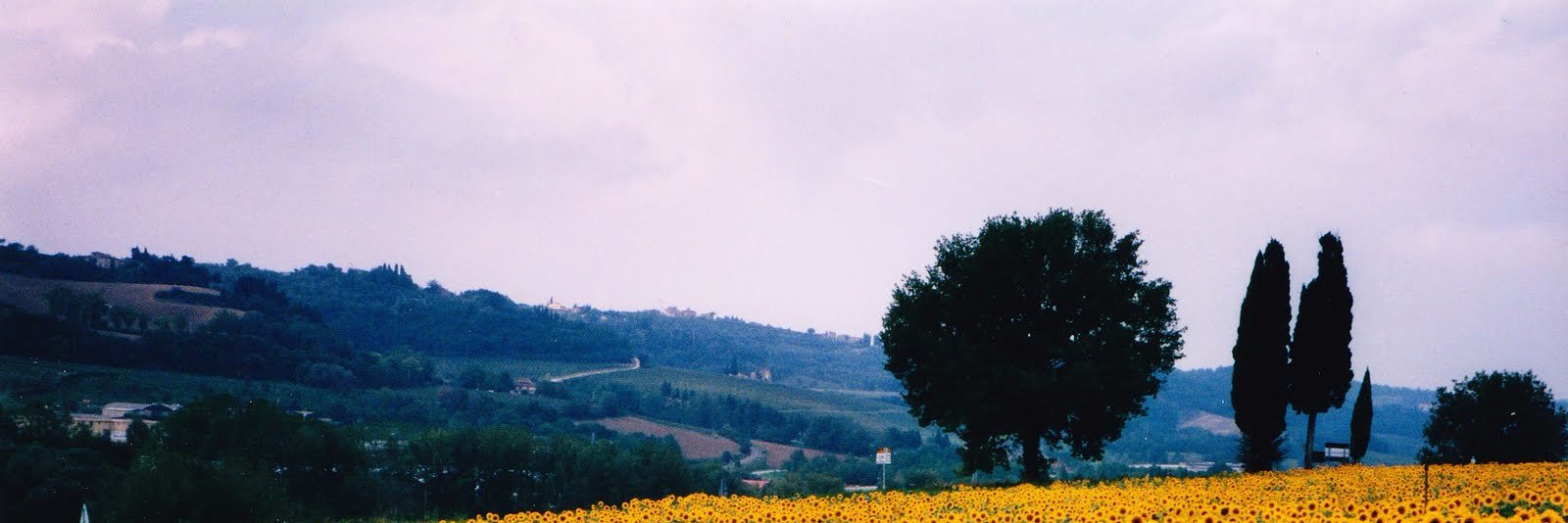 jonniplz's profile banner image