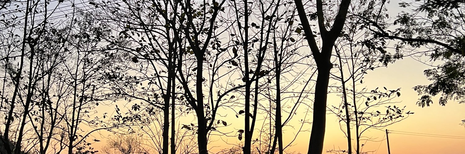 CqDeloy's profile banner image