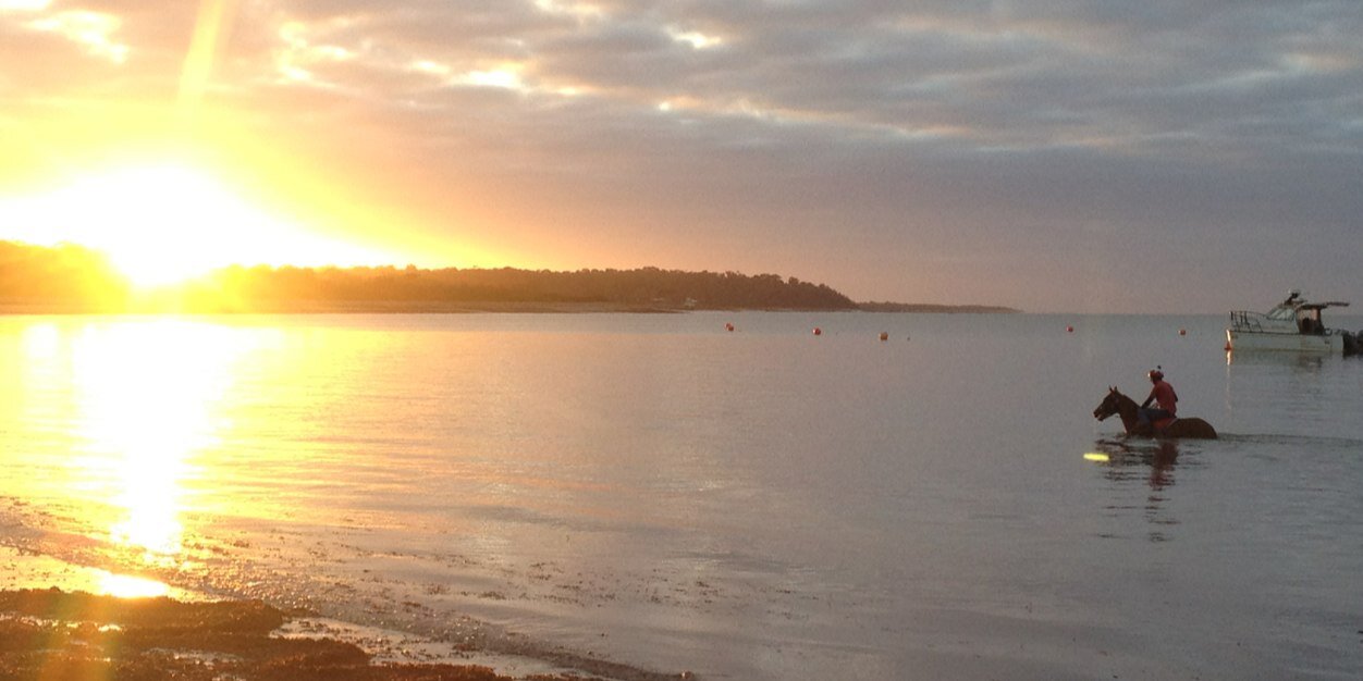 RubyKellyπ² banner