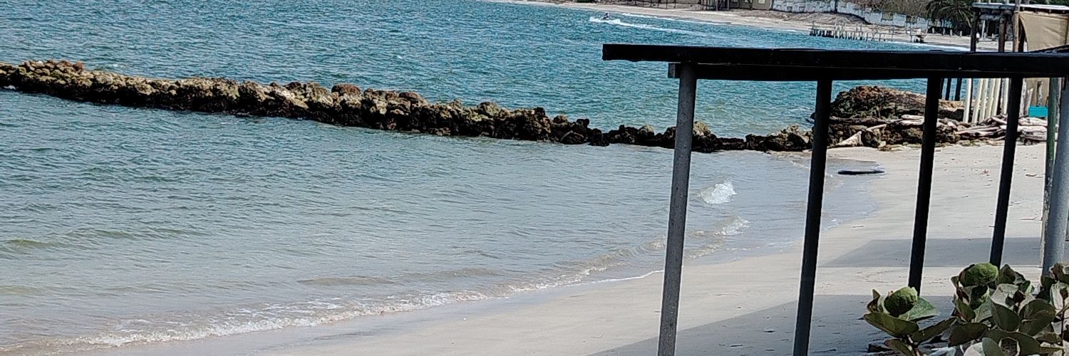 chaulina's profile banner image
