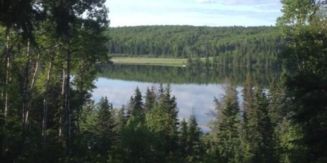 ryanshanka's profile banner image