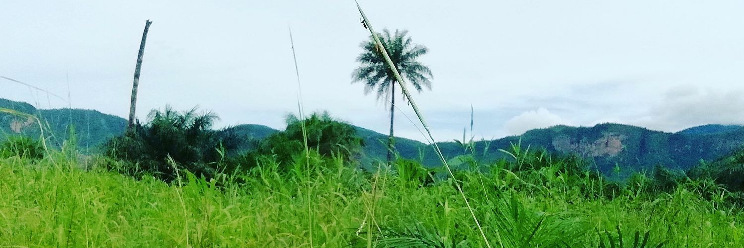 dkafah's profile banner image