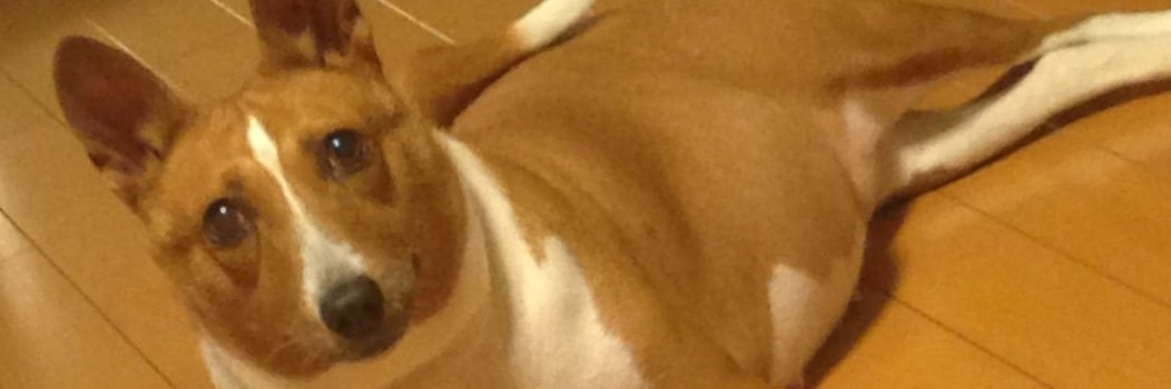 Ambi4atta5's profile banner image