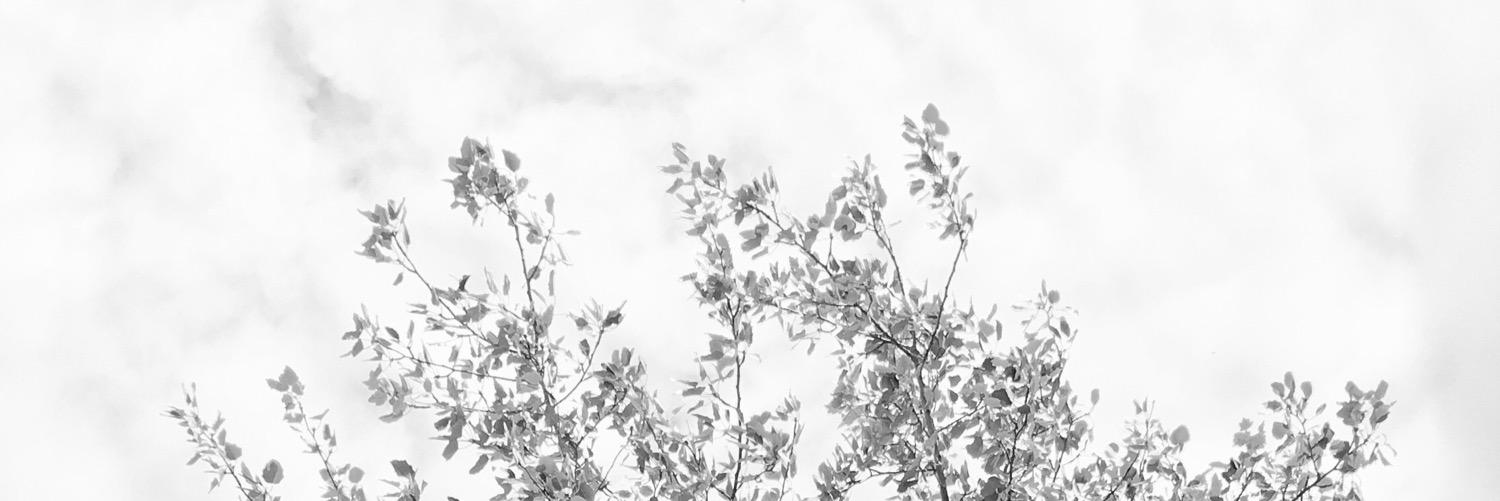 M4RK0__0's profile banner image
