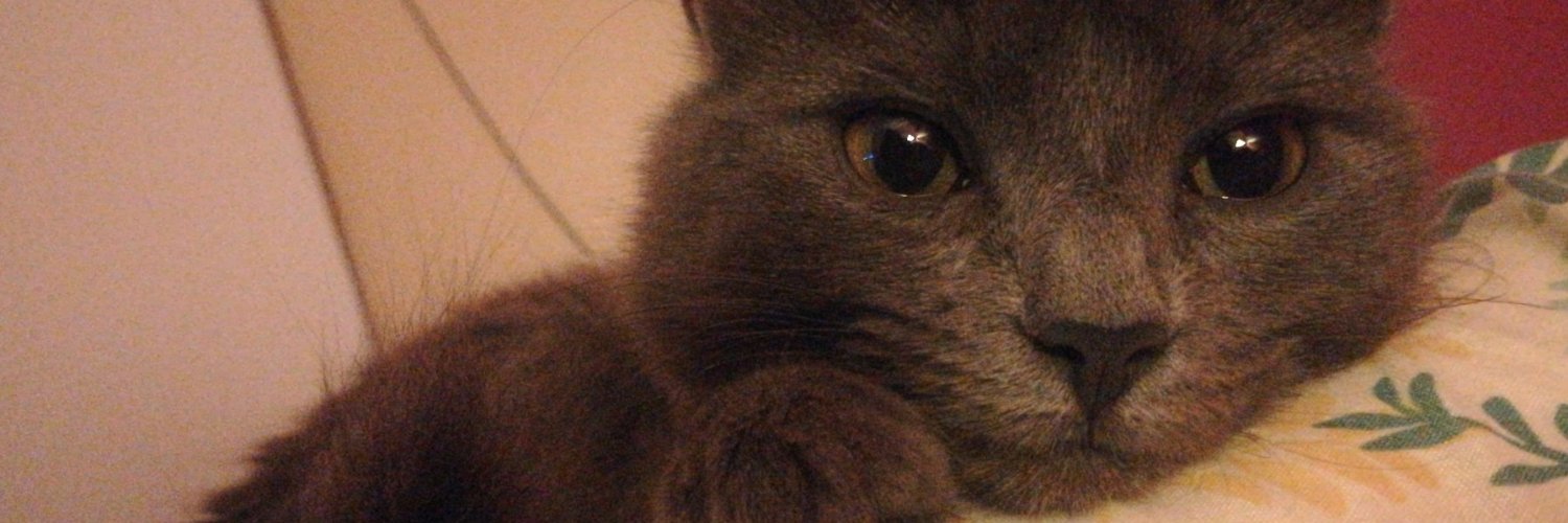 SoMiGua_'s profile banner image