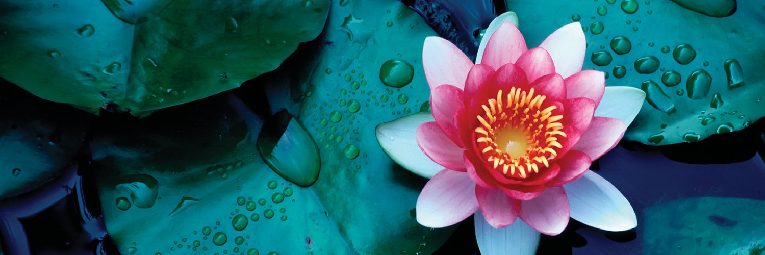 HPSgpo's profile banner image