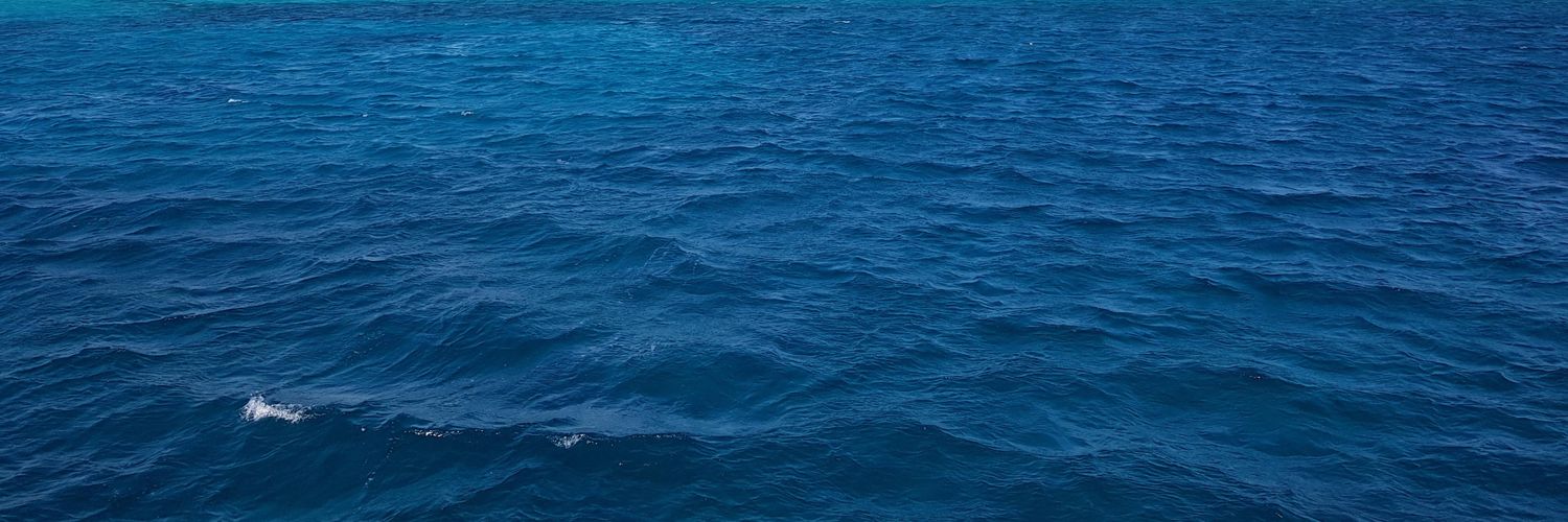alyanwarr's profile banner image