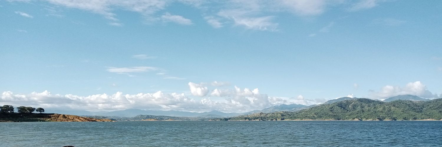 BrutusFins's profile banner image
