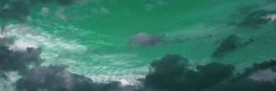 آمنة أبوالحسن banner