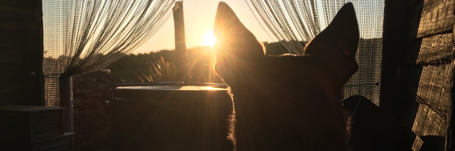 _Just_Di_'s profile banner image