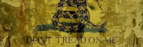 HugoMangoferoz's profile banner image