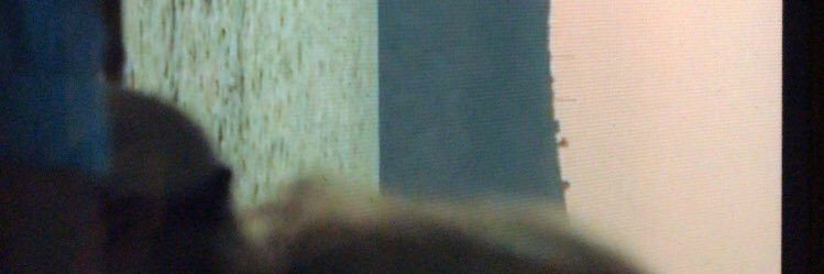 nostalgia banner