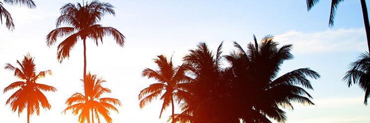 Coral_ms10's profile banner image