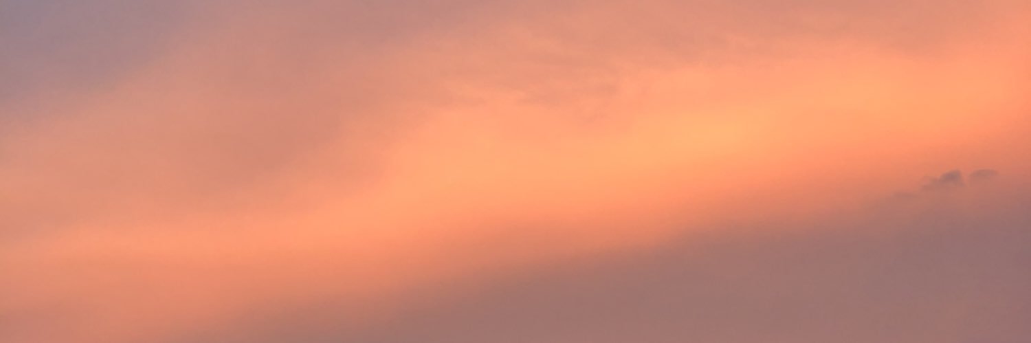 🦋 banner