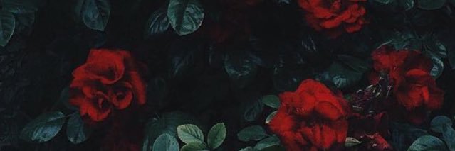 osiddyy's profile banner image