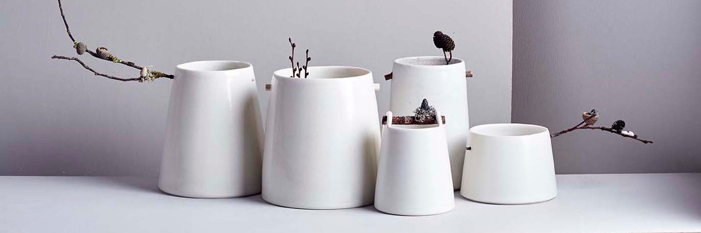 Elaine Sheppard Bolt banner