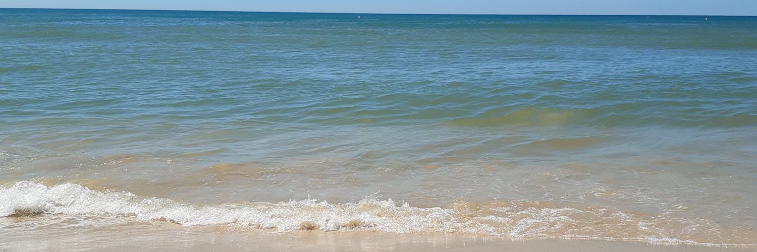 beatrizcab3's profile banner image