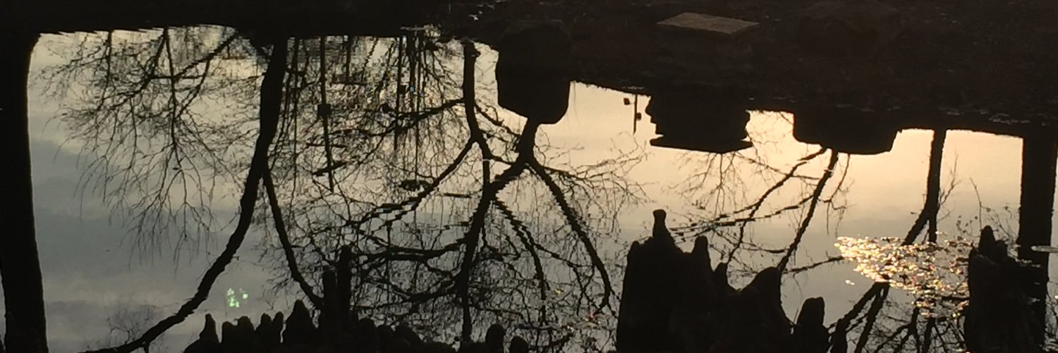 YoFansler's profile banner image