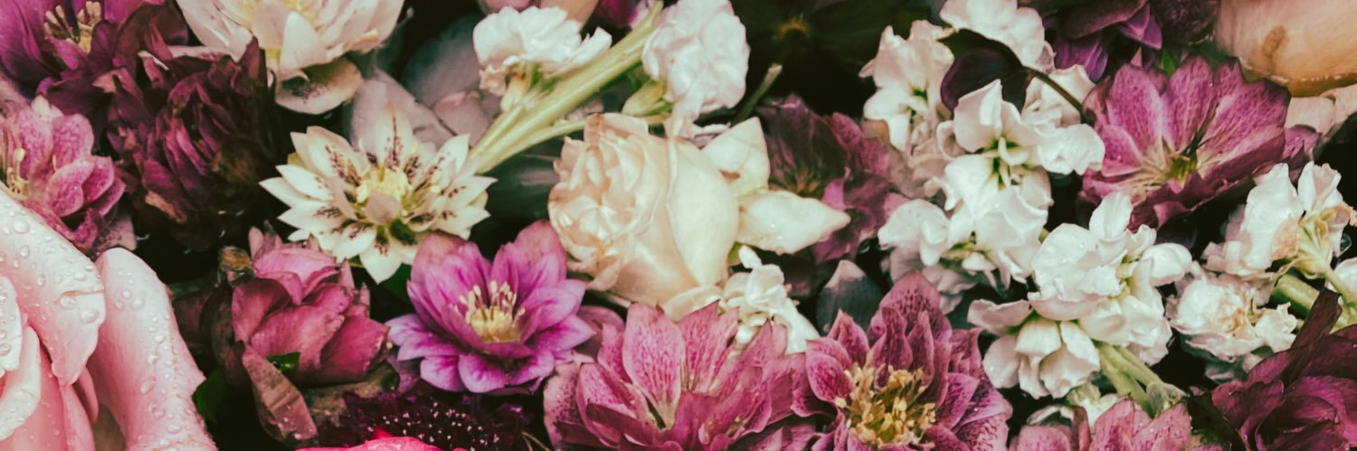 Emily O'Neill banner