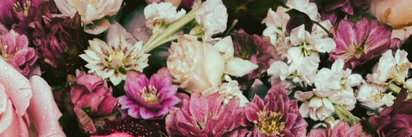 EmilyONeill16 Profile Banner