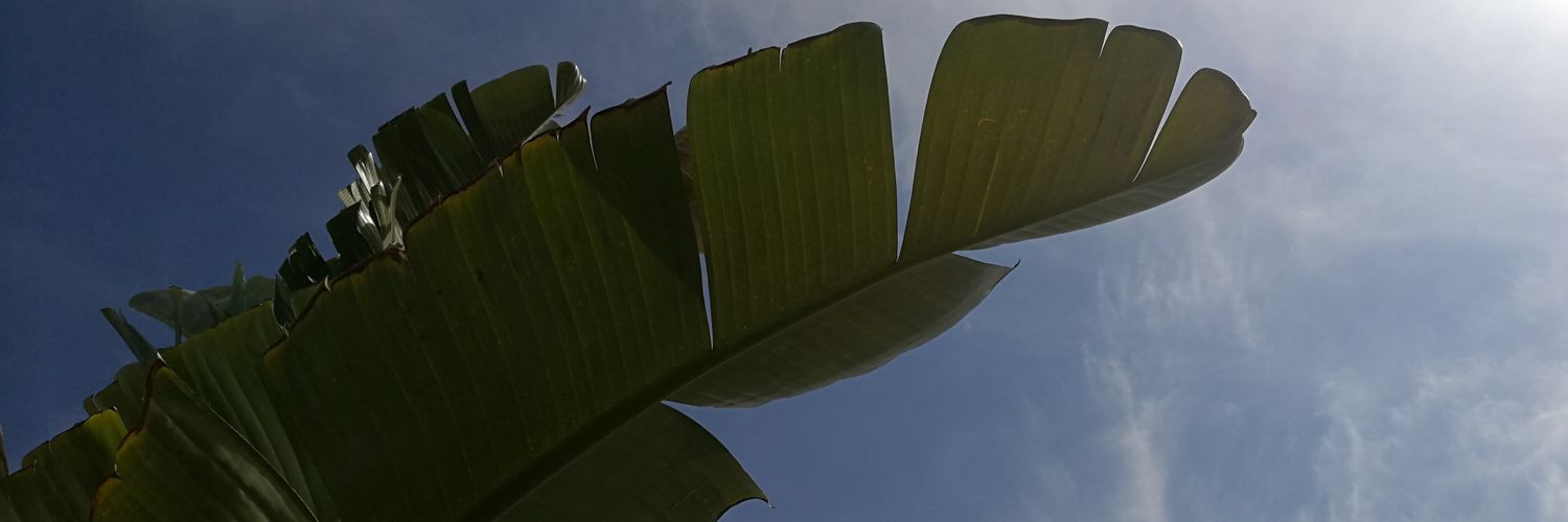 amysjoback's profile banner image