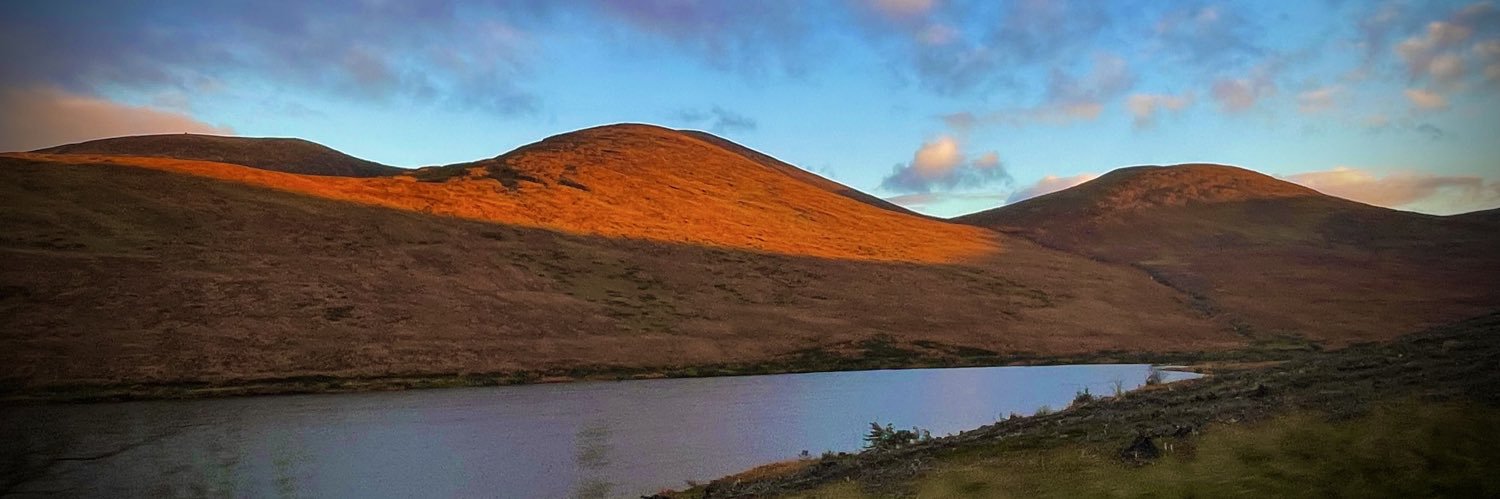 Anna Dunlevy White banner