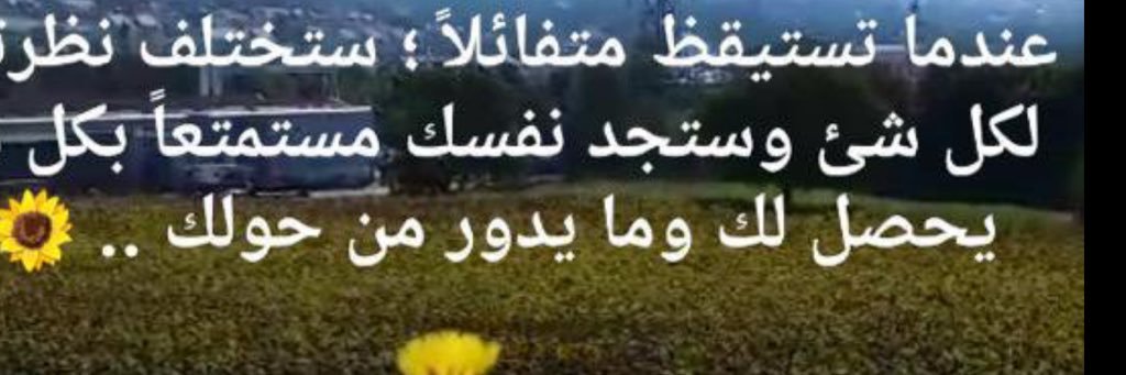 Fateemah555's profile banner image