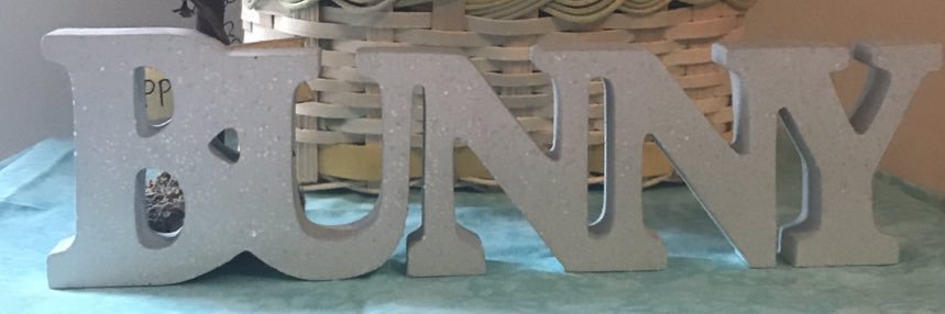 DaisyBunnyBee's profile banner image