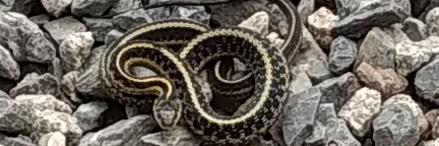 Name cannot be blank banner