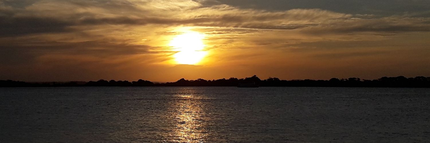 noelescur's profile banner image