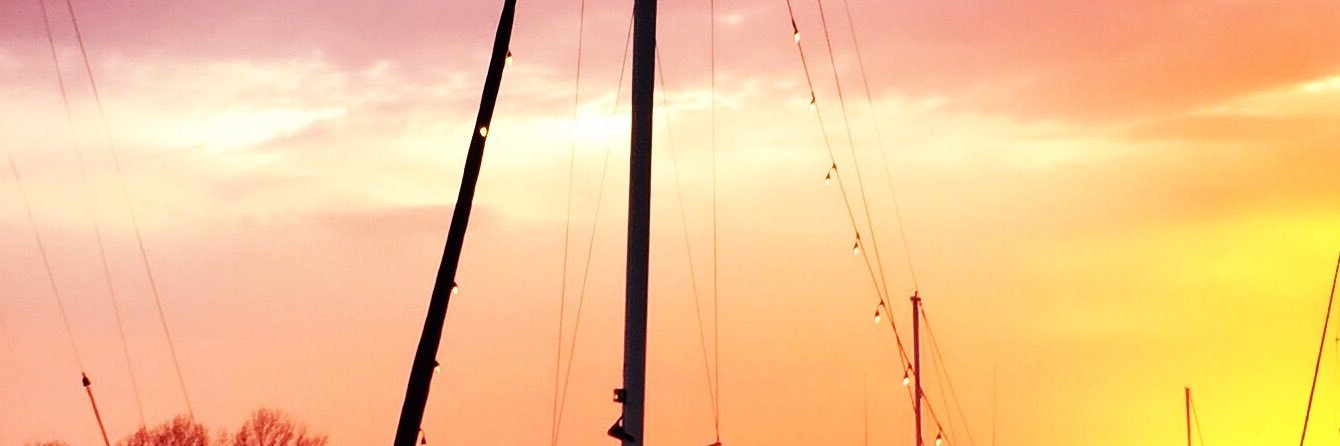 ZoeJRichards's profile banner image