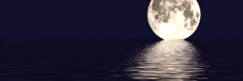 thamimoreno's profile banner image