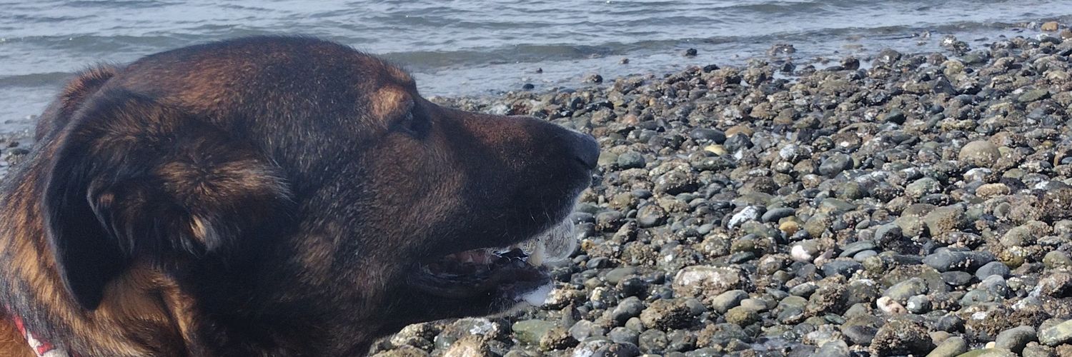 Michael Brooks banner