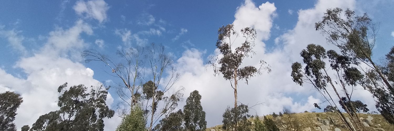 dreverdecer's profile banner image