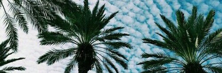 shortyC_'s profile banner image