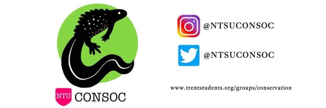 NTSUConSoc's profile banner image