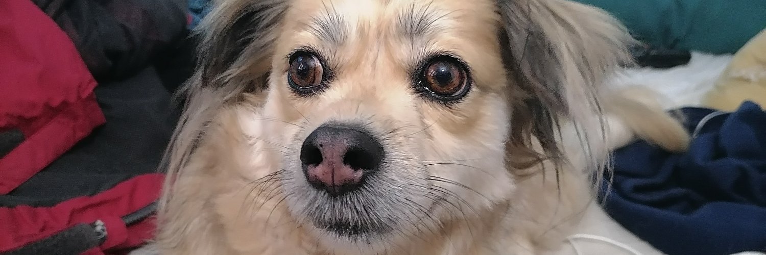 jbotto23's profile banner image
