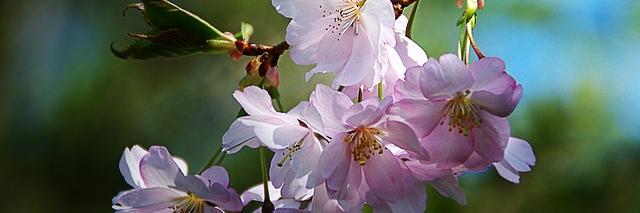 mchilders@valverde.edu banner