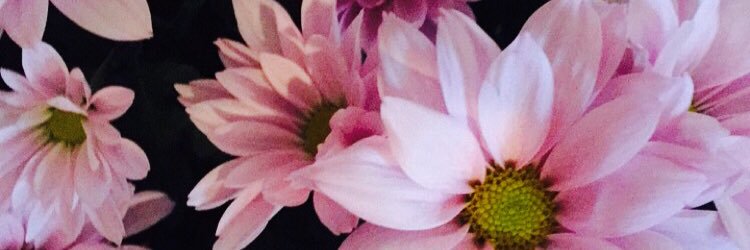 maddsdanielle_'s profile banner image