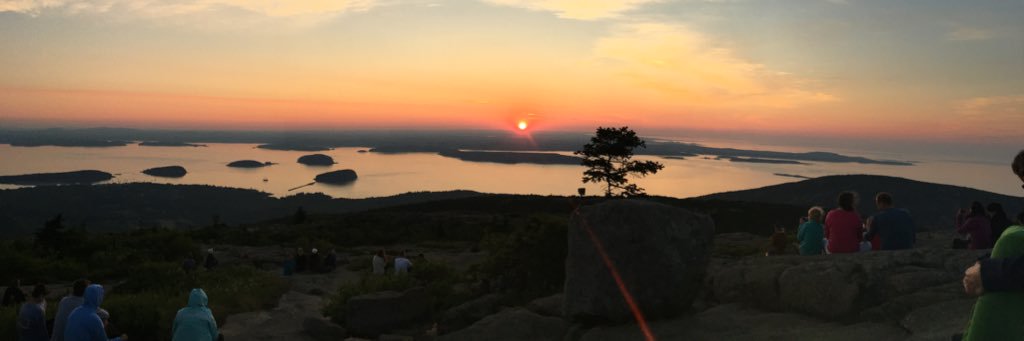 Amber Ware-Sticker banner