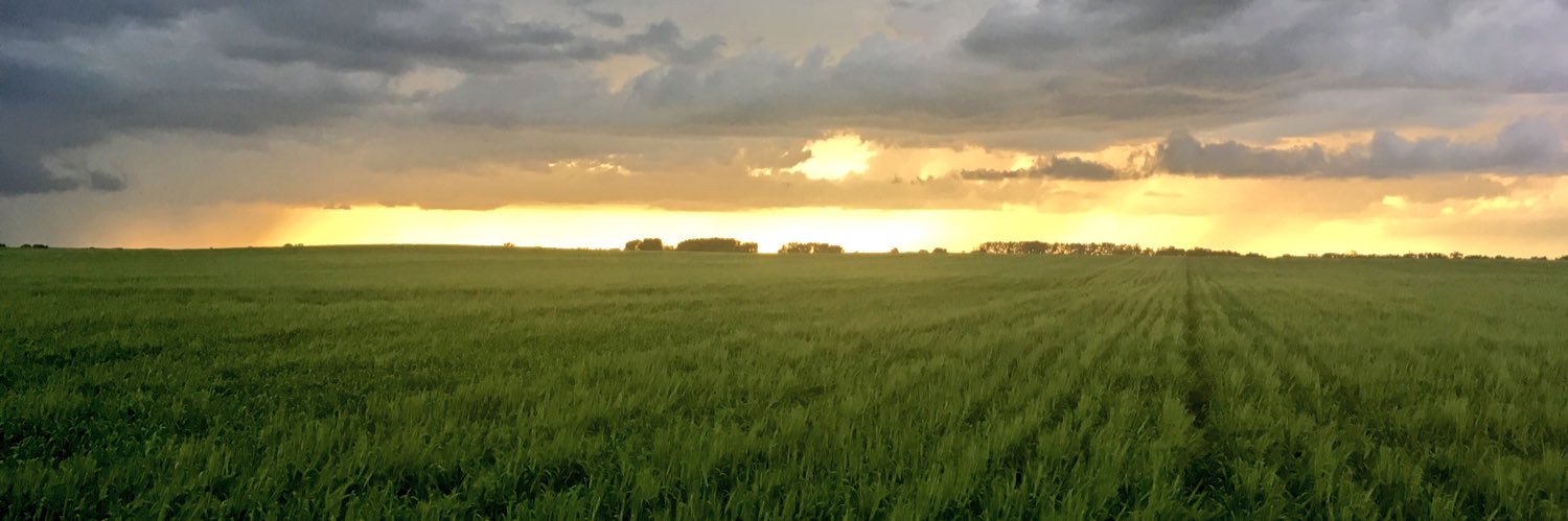cgwils3's profile banner image