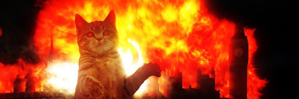 Twitter banner for @ReformCat